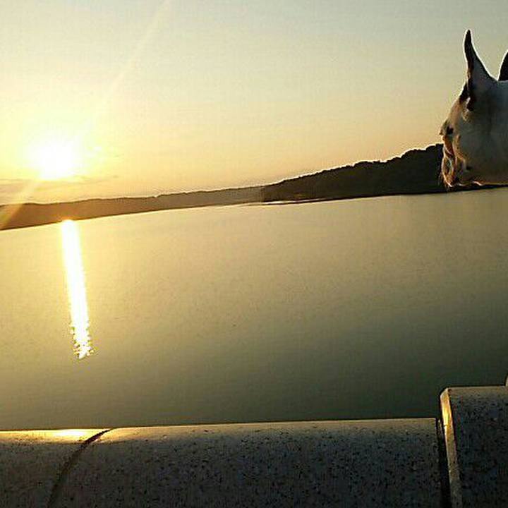 Db0373da 1100 4673 893e a62d178f9c91 1531038915089