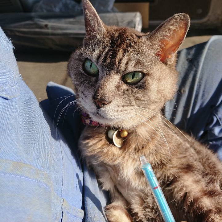 Db038664 1d93 45ff b78b 7735a27bd2fd 1591479872921