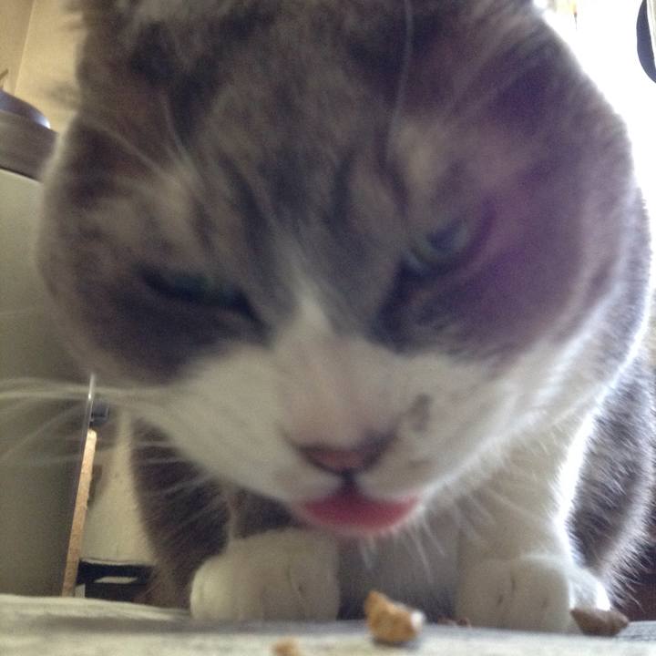 Db03c1b9 adbe 463e b4cd 1e0afc00df13 1515815955961