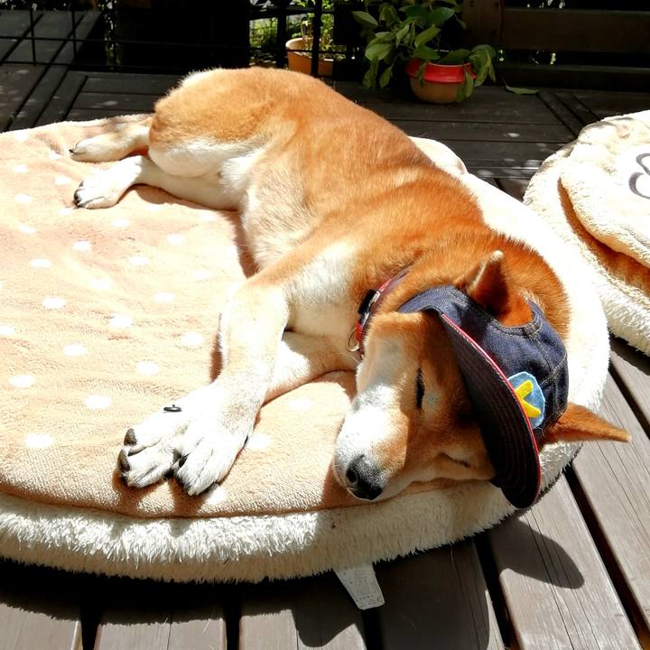 Db03c35e f9aa 4885 9648 36e02f06b114 1681626796593