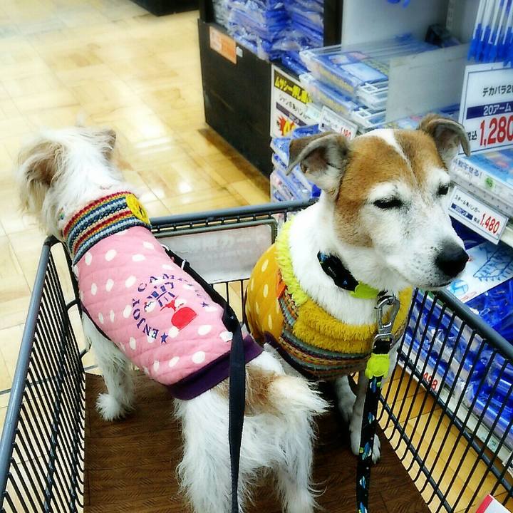 Db040ea7 f0ec 4b34 b521 e5ace79b457b 1516536358456