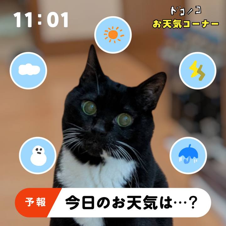 Db0411f6 c99c 4eb5 ab9c 2d608cd153c8 1781910772009