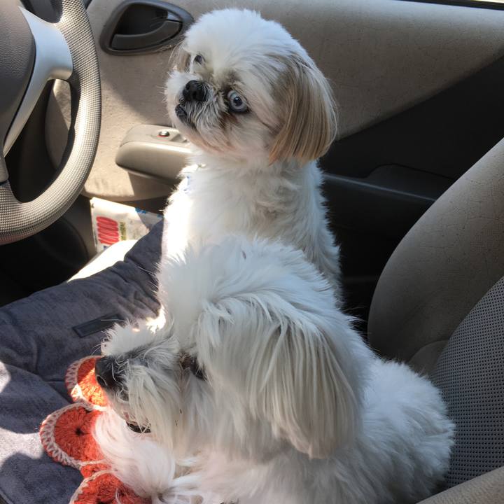 Db04132b 3632 47f9 9a18 f8faf298a4db 1557549175222