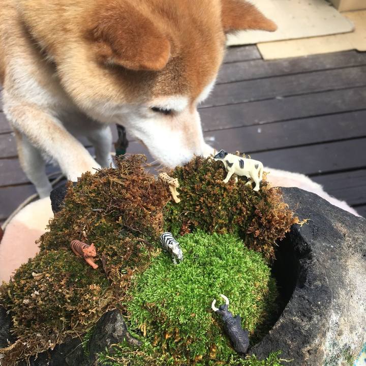 Db042f52 27aa 4e7c adf6 abbbd922ac97 1562563794325