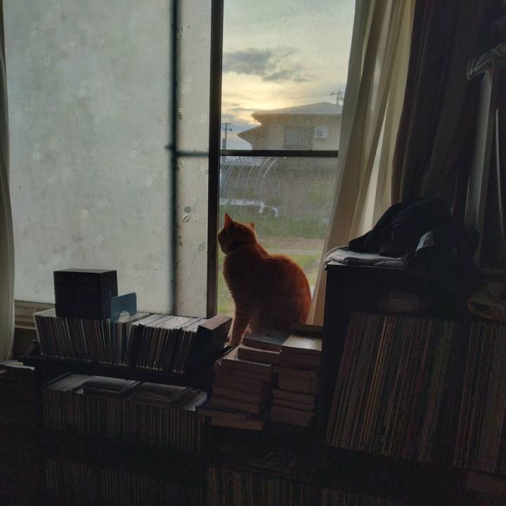 Db0447f0 7d8a 426b a5e4 5dce3a9a4534 1749246430687