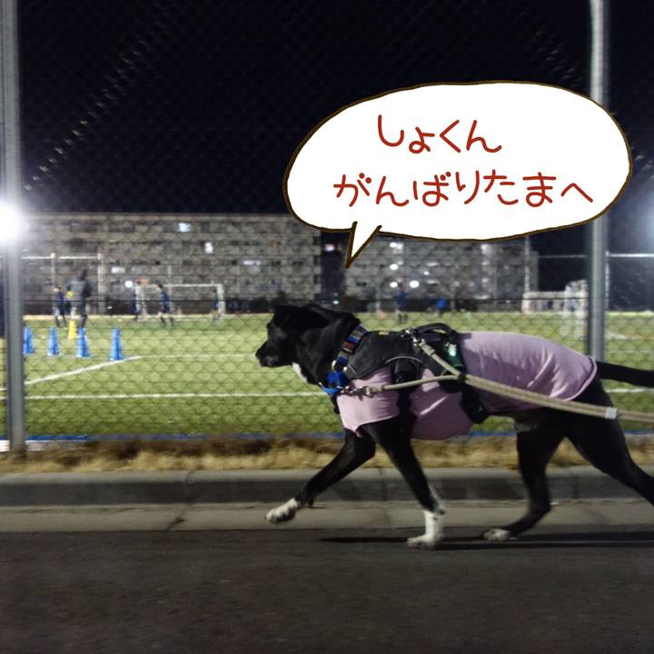 Db044e10 1927 47be a0eb c7a3e70bc3d3 1645527664204