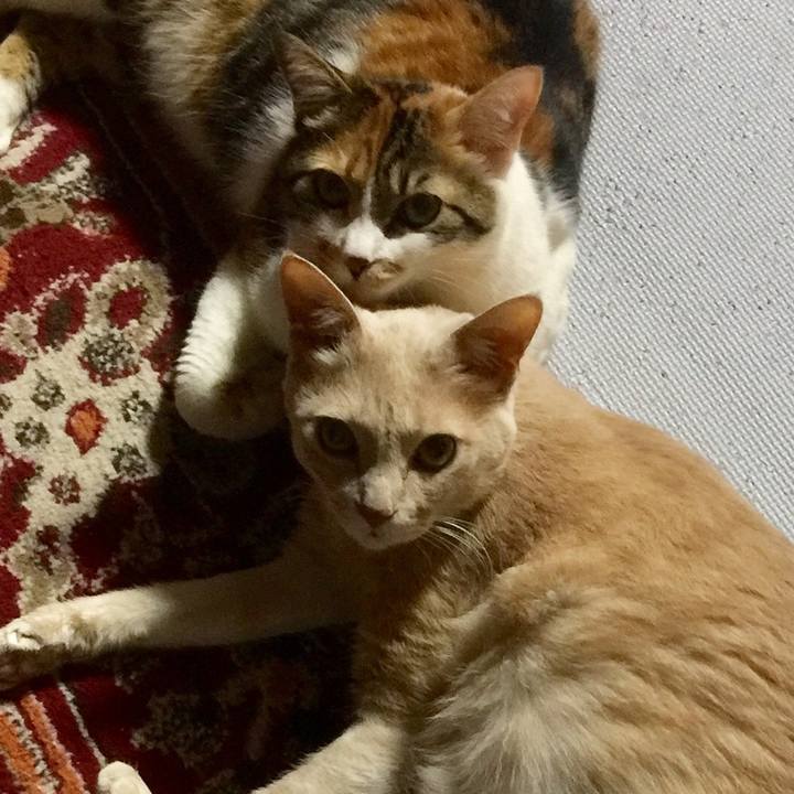 Db0450e1 1030 4a18 a305 0aa50513b919 1681251395811