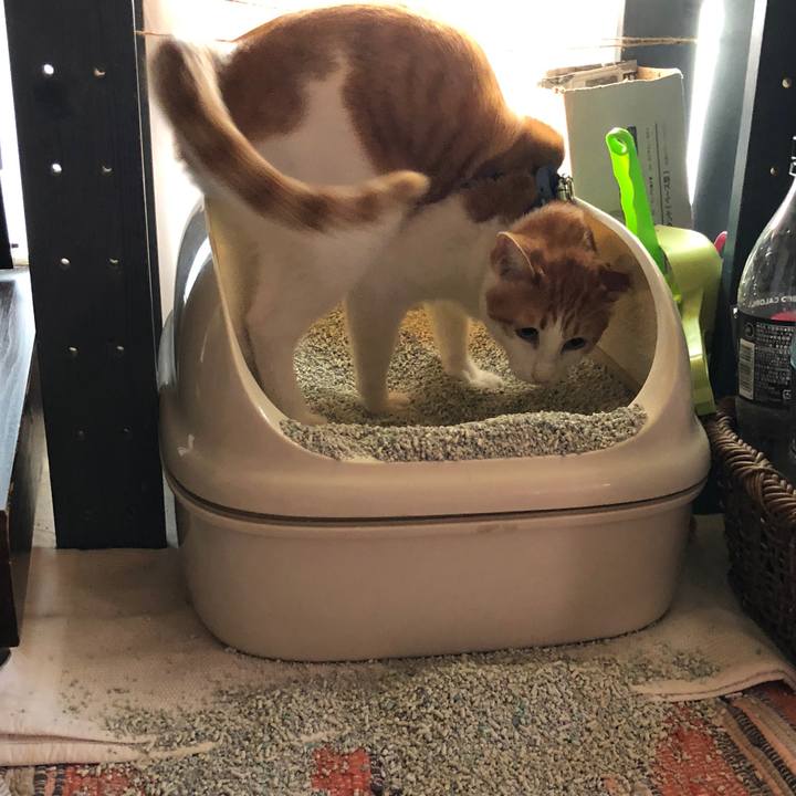 Db045949 cc41 4fd1 826a a13e70567a23 1540253284880