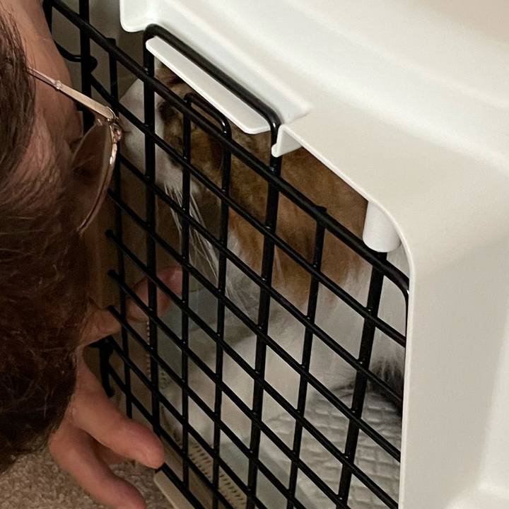 Db047a92 033b 4d34 8868 da60479ef76b 1662886186780