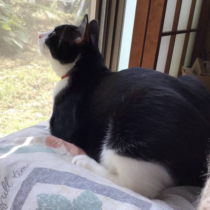 Db04c82b a3fc 410b b4dc eff49543d7c0 1632476467628