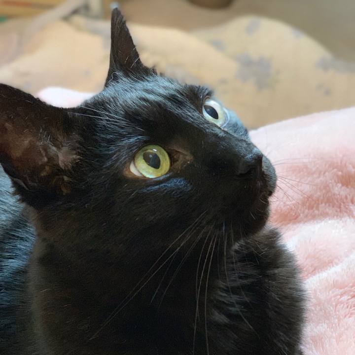 Db050608 db50 4df8 a0b0 e10aff852122 1558140653966