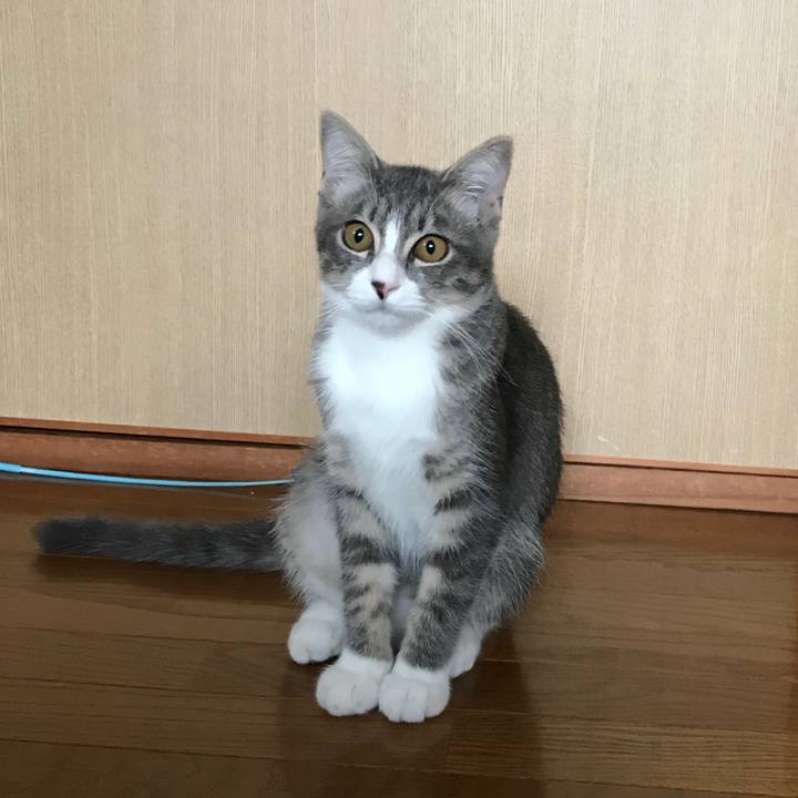 Db053841 e079 4cc8 acc5 9407a9e4e217 1535012829402