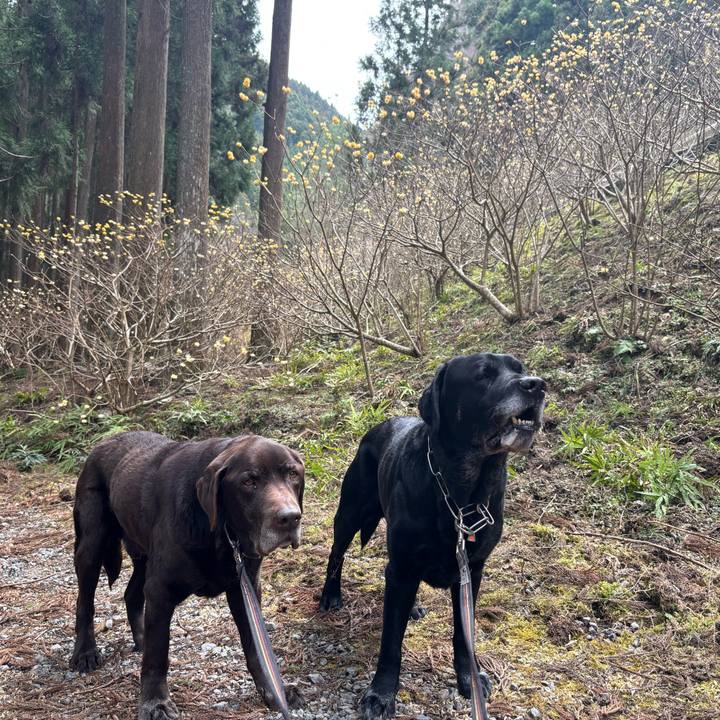 Db05714e 1ca0 4c42 92ac e1bcba94f7e7 1773487067740