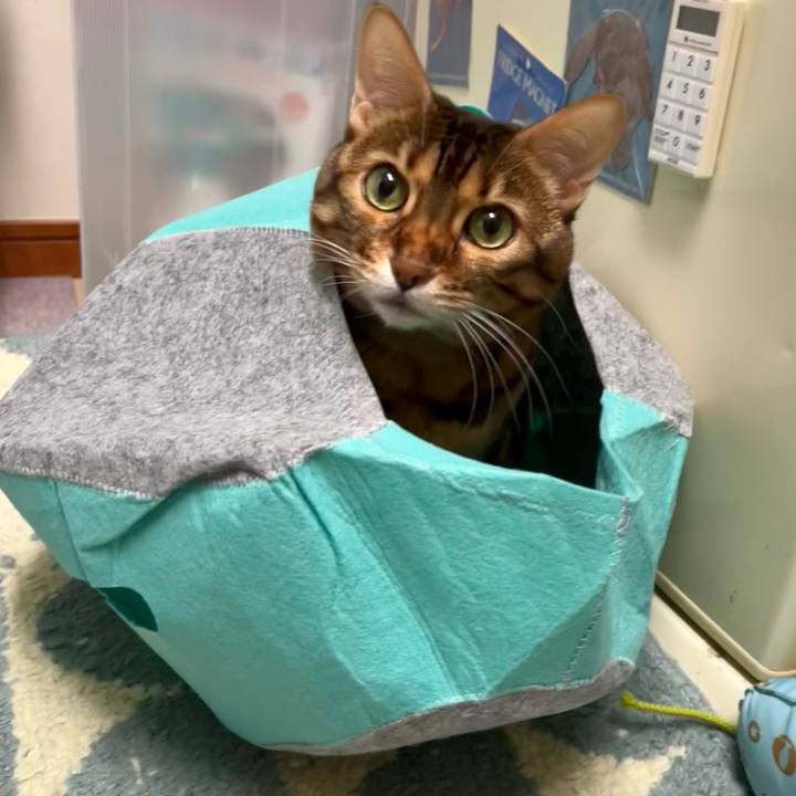 Db0579d4 14be 44b2 a153 551b7cfb40e3 1638999421713