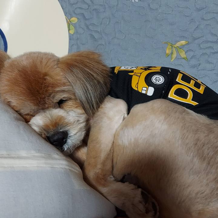 Db057a20 aa2b 4b52 97b0 8c0e1525304d 1650021926069