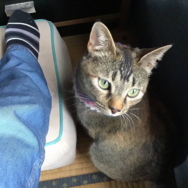 Db05c01f 2944 4dc4 9acf 069e9a70a859 1620548592977