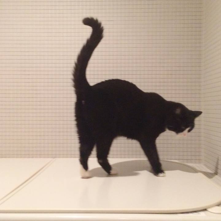 Db05d648 de14 423f bce9 e2f9043864f7 1535635223910