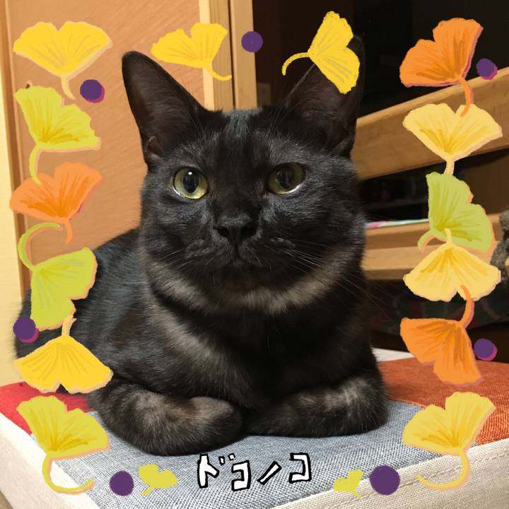 Db05e264 2a6c 4929 89c1 69155fd00b14 1730174625122