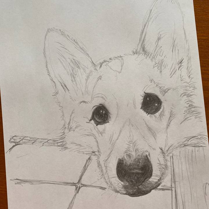 Db05eb90 e4e2 4f1a 86ed 24b16d4b406b 1591685948727