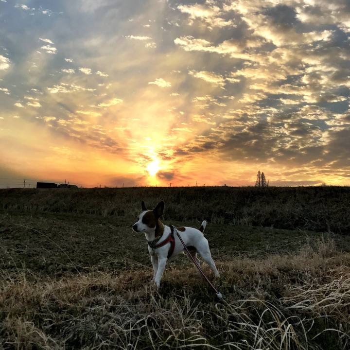 Db060029 280c 4836 8d7c 25395091d4c9 1515148209167