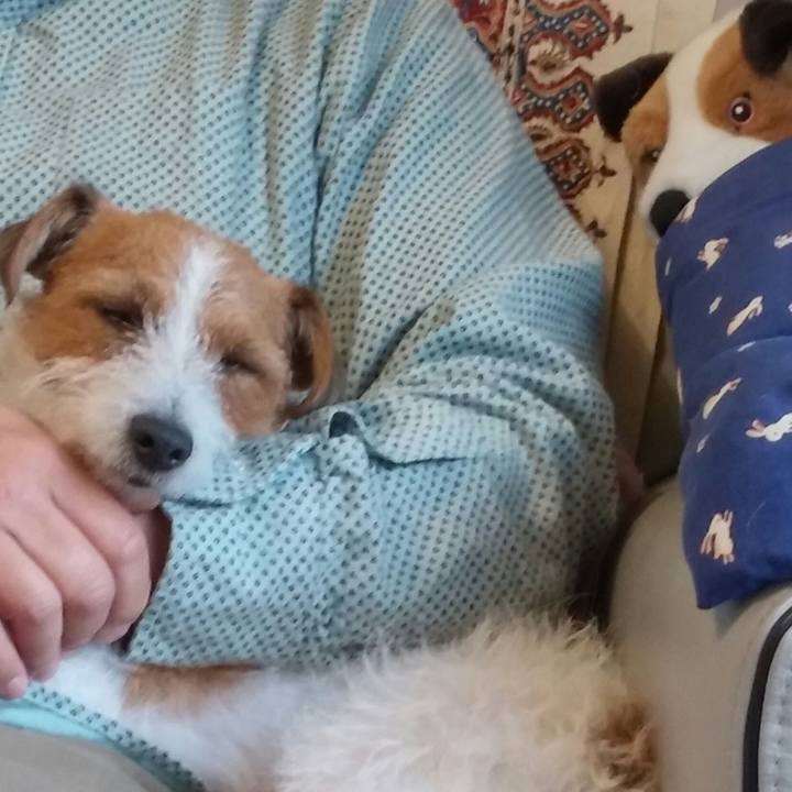 Db0605bc bee0 4a78 9a49 c14d674bcf2a 1544448527496