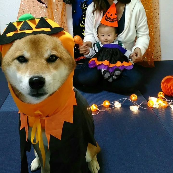 Db063617 fb59 403c 94fc 67d436da0fd5 1540790193766