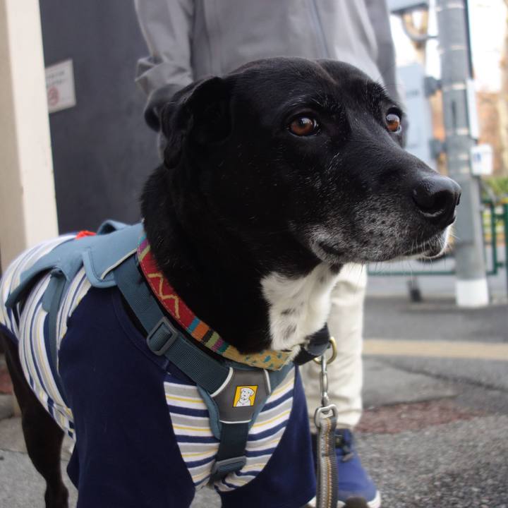 Db06a87e 0f64 4c1a 8599 0f058c45b777 1704242601067