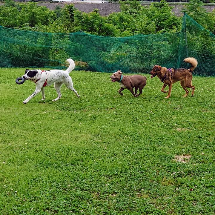 Db0742c9 741a 48b3 b8c8 67faab26014e 1717297289629