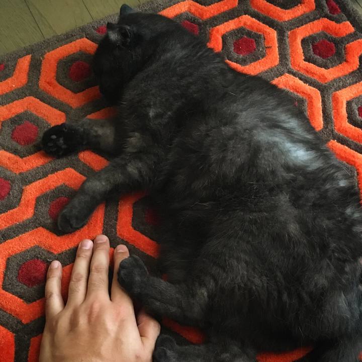 Db075340 3e64 4d60 bf7b 9955bac2b534 1532154518990