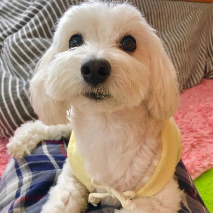 Db075610 ab43 4129 9b49 0c997e9c76a7 1543214948416