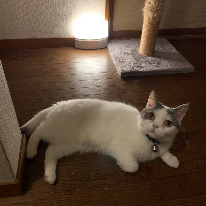 Db075766 947e 4b6a 8c1f 36015b4ea6b4 1728222466204