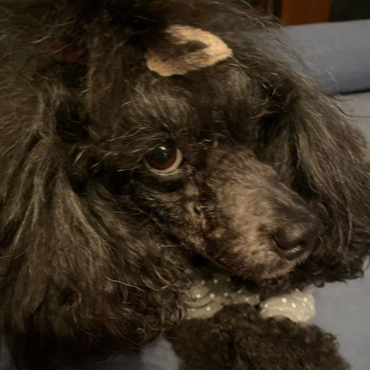 Db0786af 3a10 420a a7c8 1a3c457455bd 1664552085448