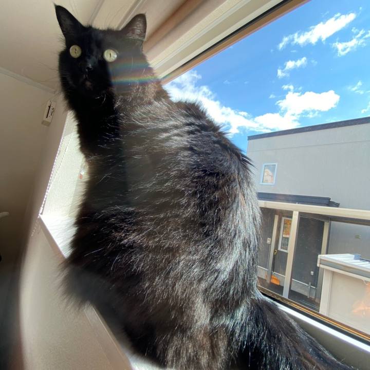 Db07b167 ca65 4b70 aca1 4163a4de50ab 1584407235213