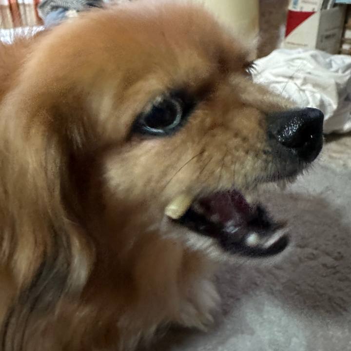 Db07cdd5 ea8e 460b 8035 760a13e2fbd8 1689196241729