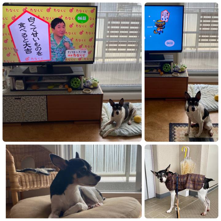 Db07d4d6 be94 440b 9e46 f538482f5a44 1594598432131