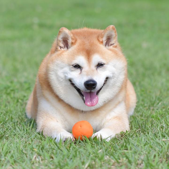 Db07fb21 100a 4c8f a660 96afe854d614 1626356384299