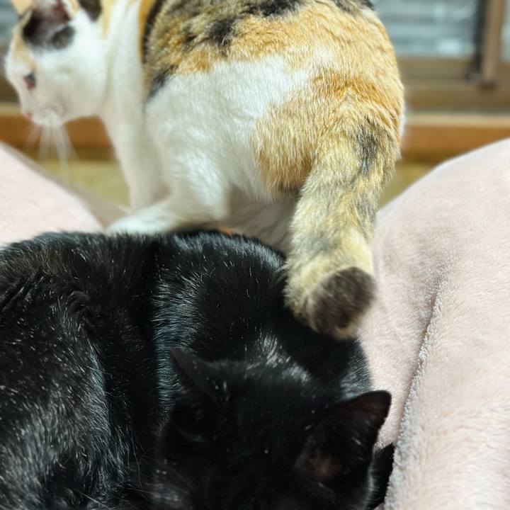 Db07fe85 72ba 460e 9c38 0ce7b6f1a589 1702862096182