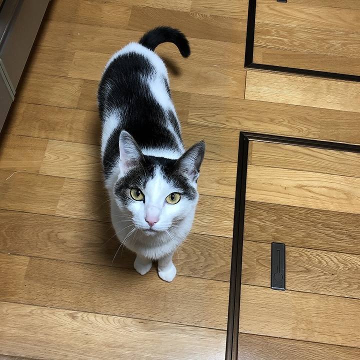 Db08037d 3be4 41cd b1eb 57483577e4dc 1676209535860