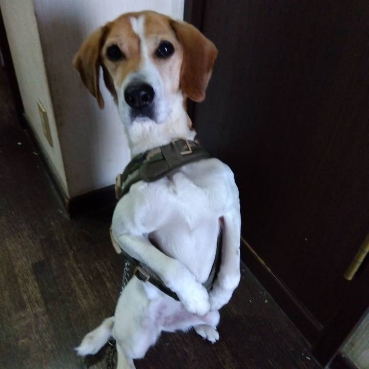 Db08133f ef6d 4fa7 a86b ad929c44528f 1677648479137