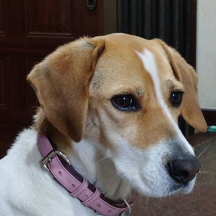 Db0817c7 978e 4420 a1f8 1a2fac5971b0 1586946138864