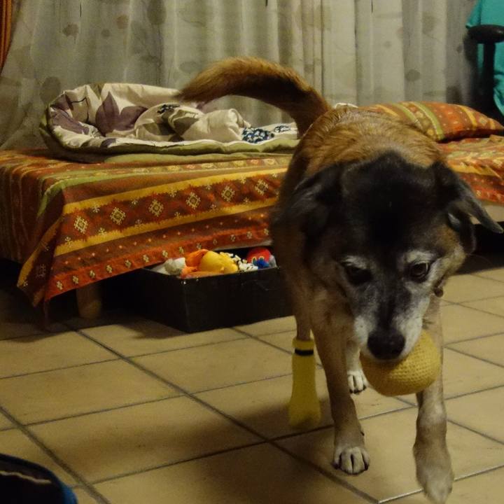 Db08381e a125 4f73 b0dc ec3f29c90548 1654564311006