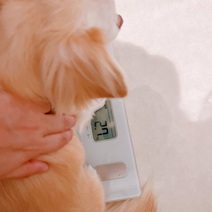 Db0862ca 2c63 4845 a2d5 dc09abffc380 1662177289080