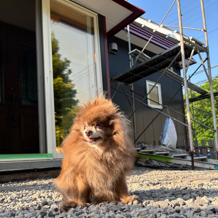 Db08756c f8e7 4edf b893 9bb57bf314a0 1750283150780