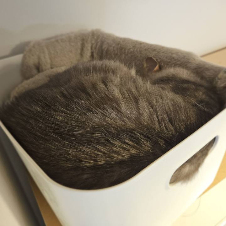 Db08c69a fead 4fc1 ab37 555f18f5b1ef 1772445552149