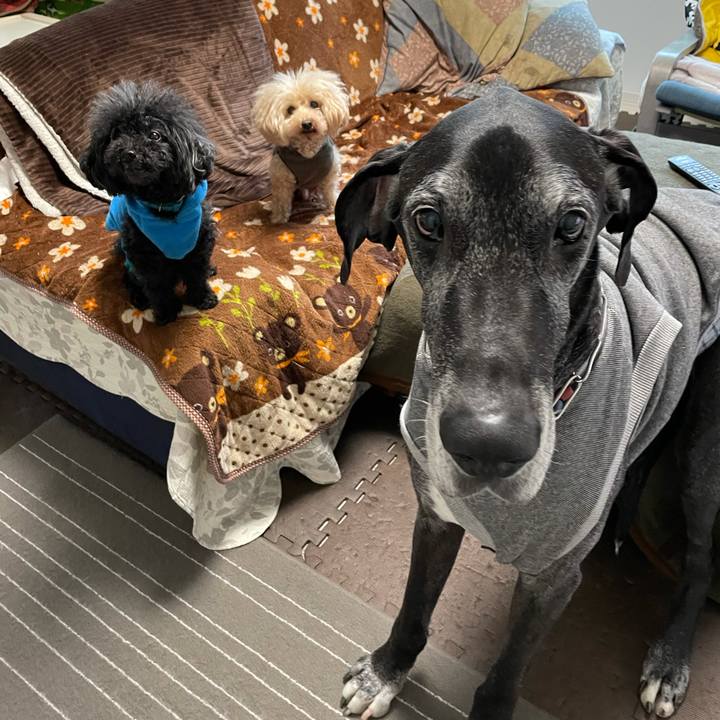 Db08ecbb 879f 4768 af5d 98b3539539f3 1614639324017