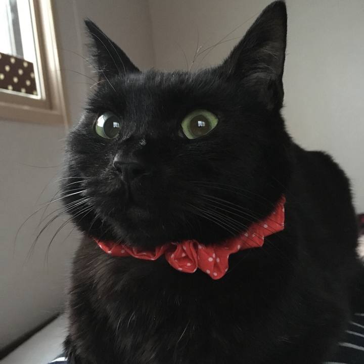 Db092863 b080 434d 9ef3 11aea12c9f1d 1553118415626