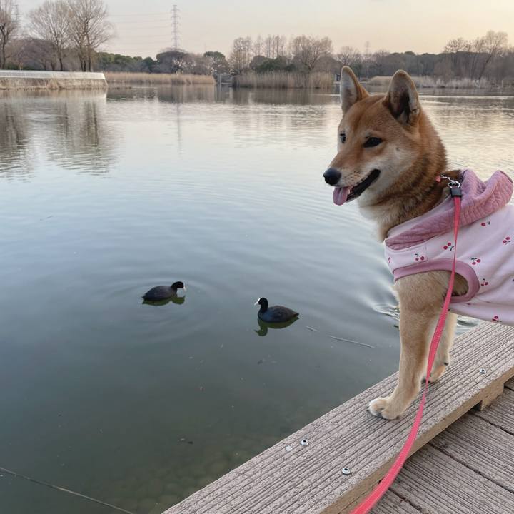 Db092c25 8220 416d 91ef 1377224b0b74 1675601275078