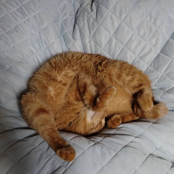 Db09304e 117b 4f41 94bc 1cea560c1866 1733636441236