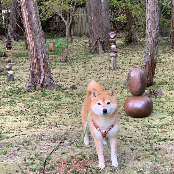 Db095eda 7c4d 421a bed4 ed22da674f30 1617700249952