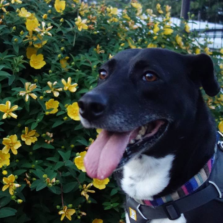 Db0962eb eb8a 4821 a488 c8f883450a0c 1653821598996